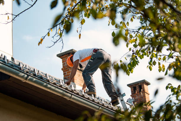 Best Flat Roof Repair Services  in Blue Ridge, VA