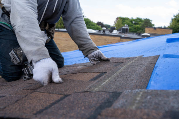 Best Roof Waterproofing Services  in Blue Ridge, VA