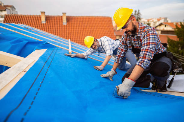 Best Storm Damage Roof Repair  in Blue Ridge, VA