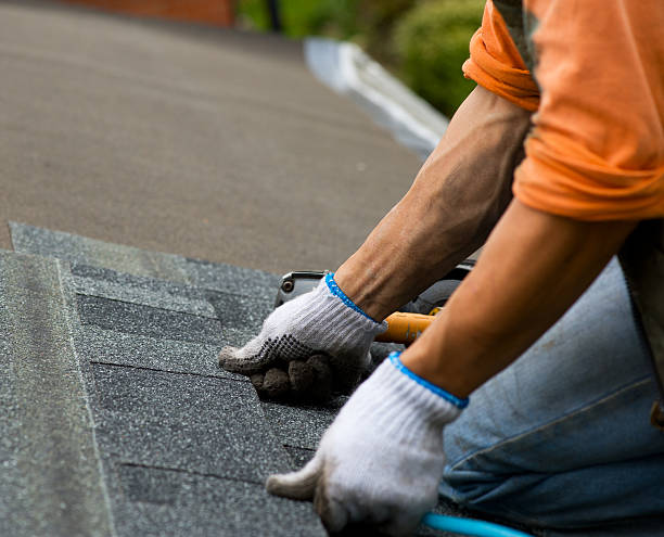 Best Roof Repair Services  in Blue Ridge, VA